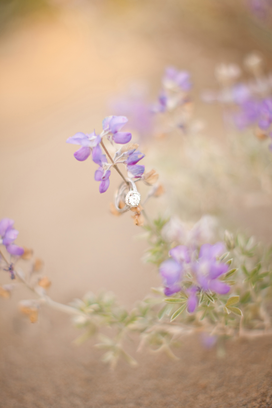 Sarah's engagement ring hangs off the purple flowers.