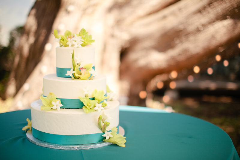 Wedding cake at Point 16 in Big Sur.