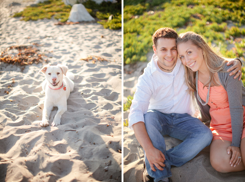 The couple brought their dog to the Santa Cruz beach for their engagement pictures.